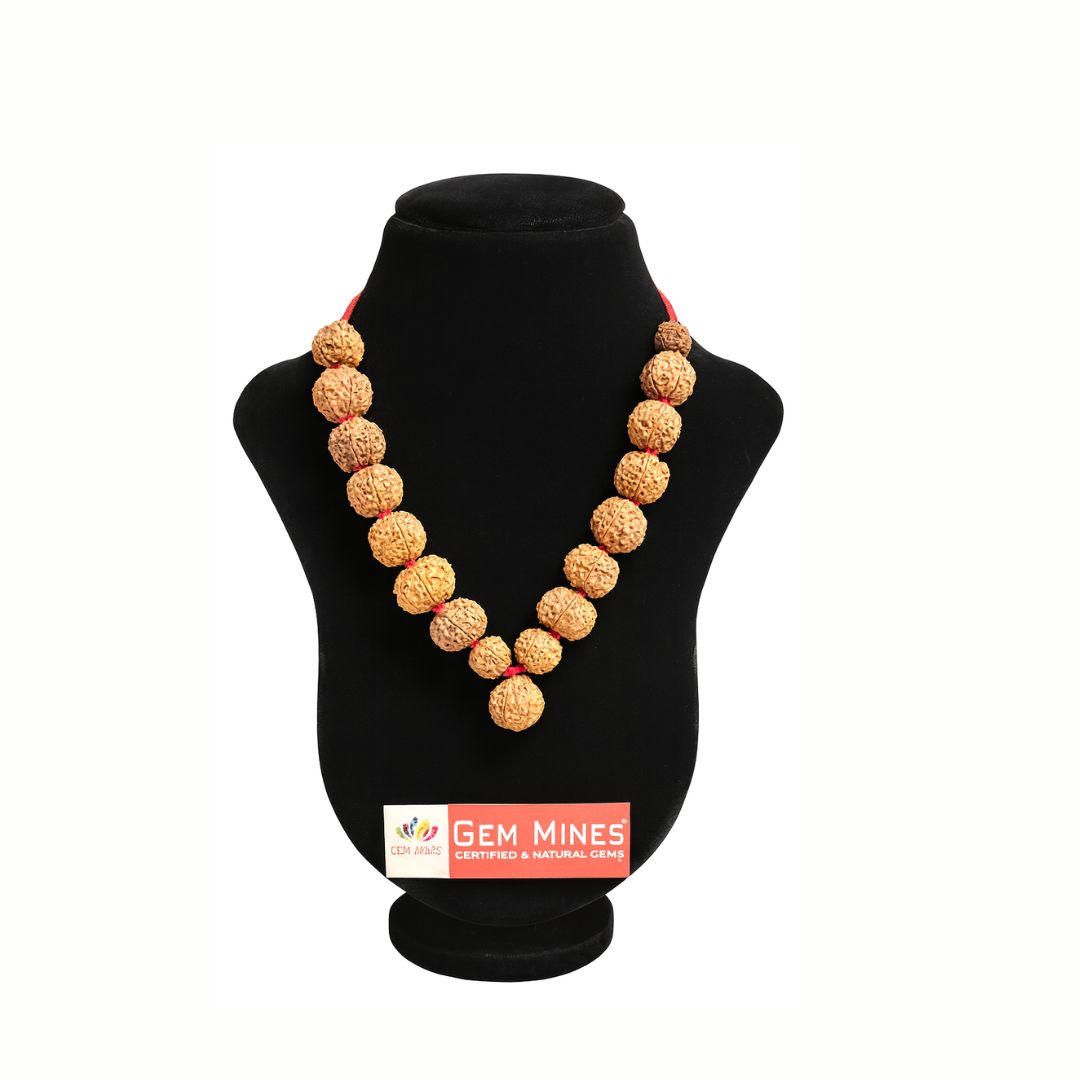 Sidh Nepali Rudraksha Mala Collector
