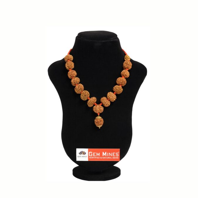 Sidh Nepali Rudraksha Mala Collector