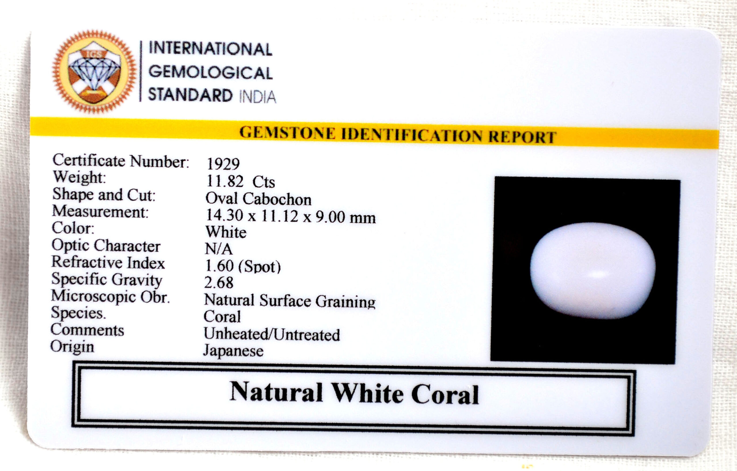 CORAL 11.82 Ct.
