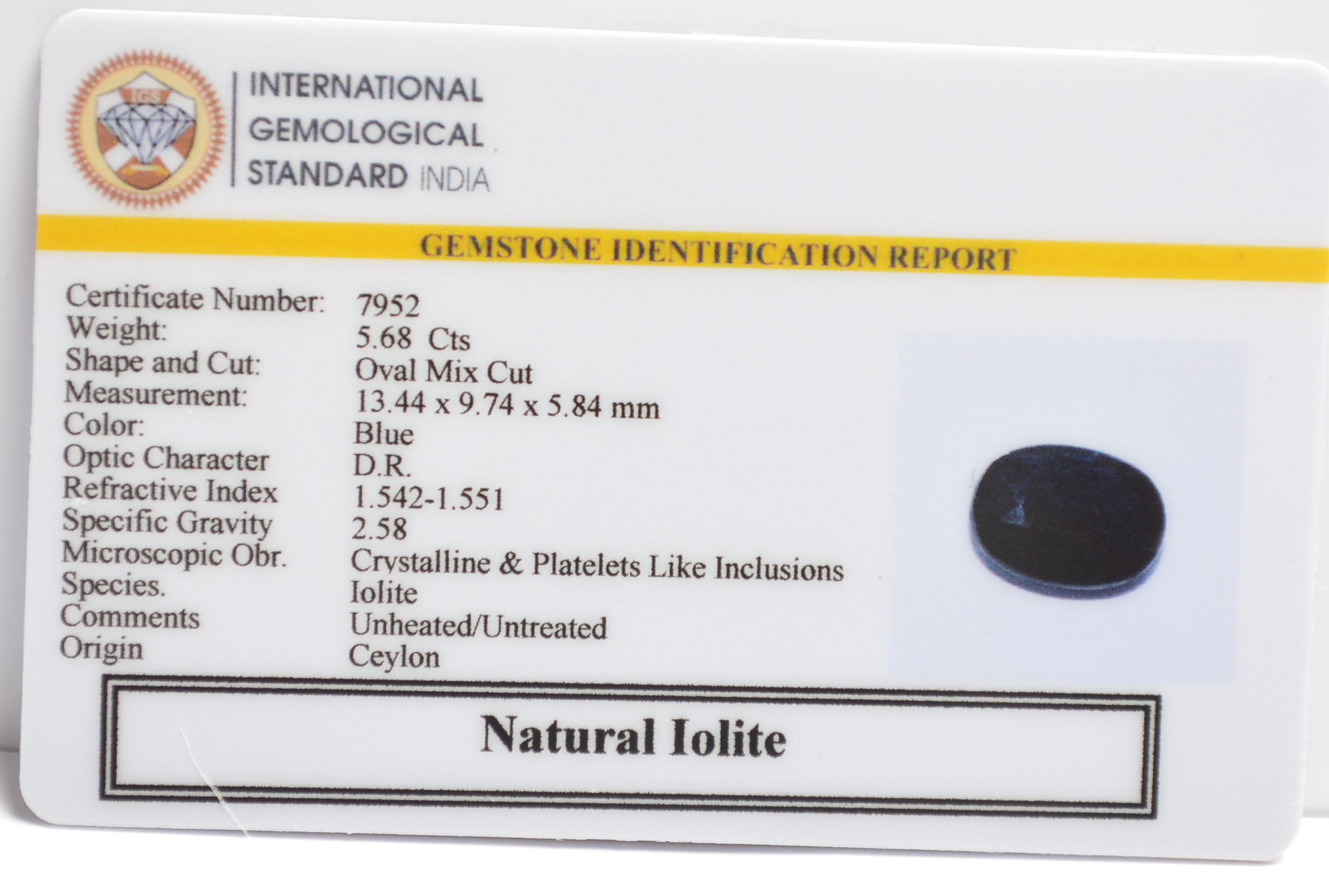 IOLITE NILLI 5.68 Ct.