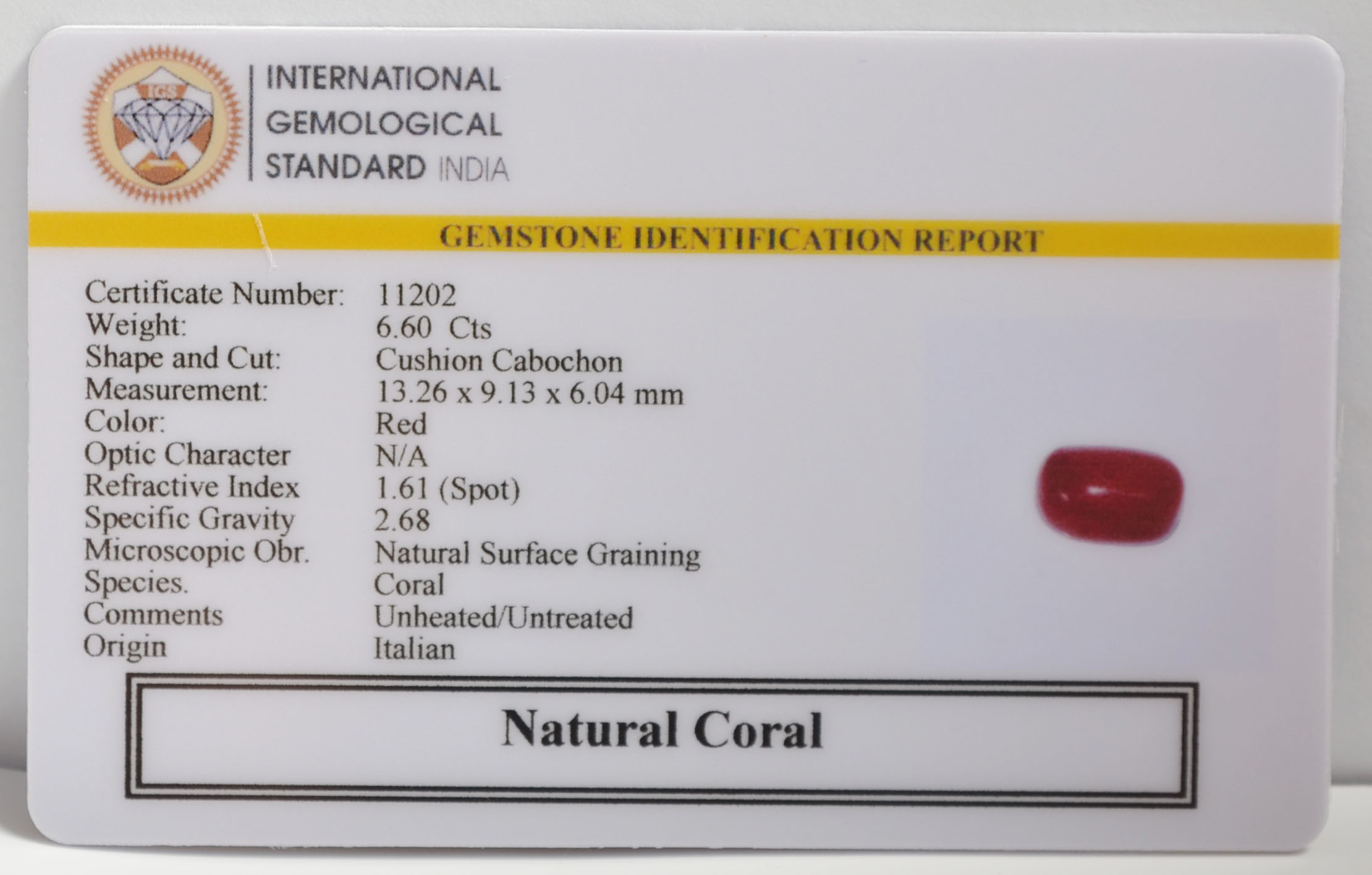 CORAL 6.6 Ct.