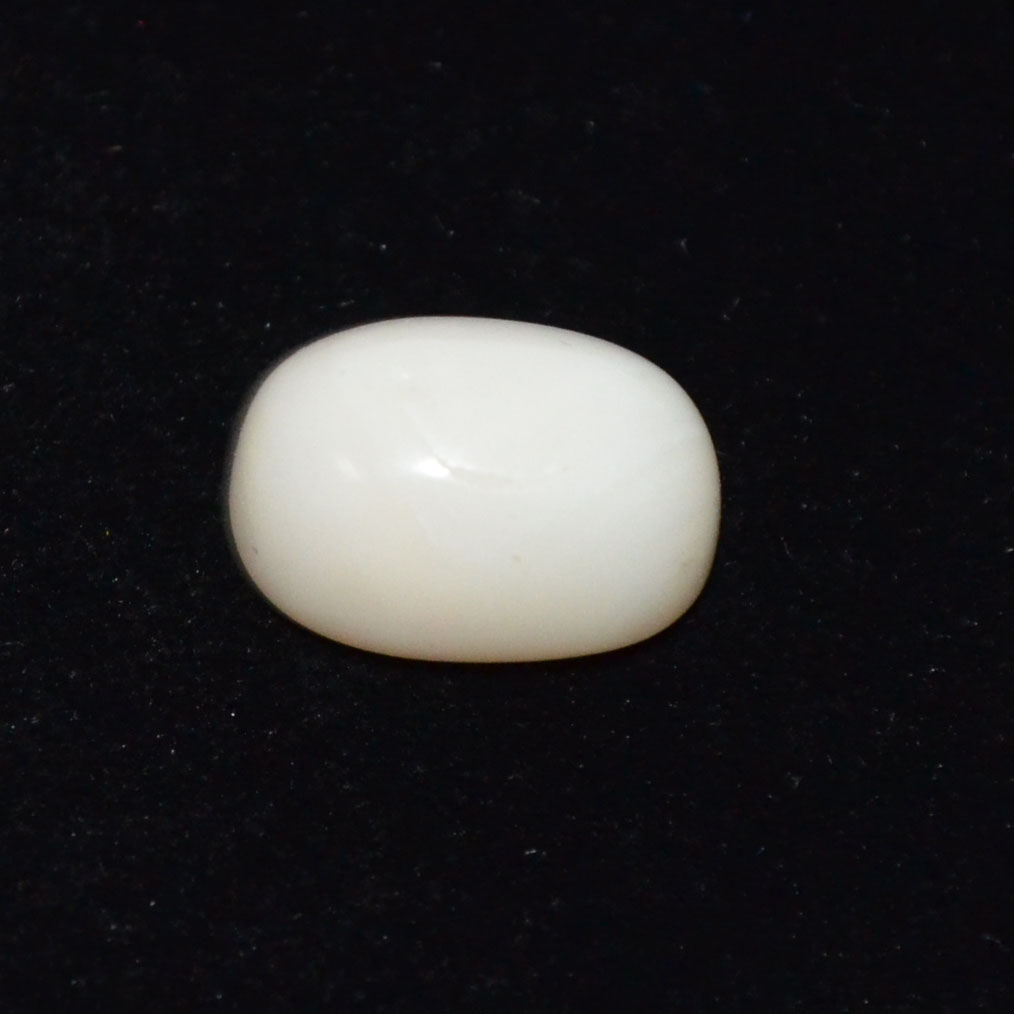 WHITE CORAL 9.84 Ct.