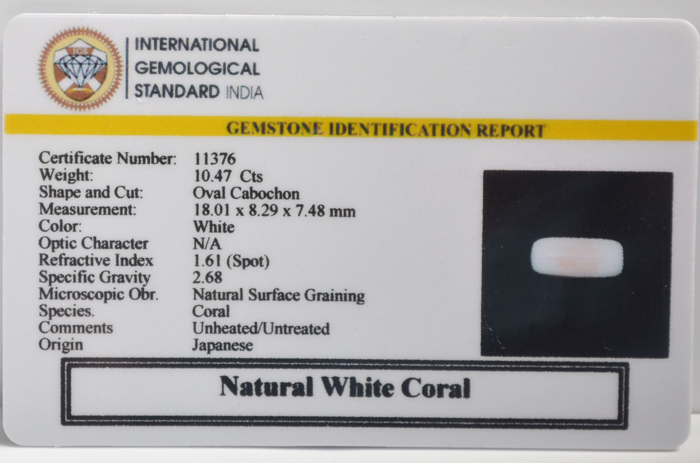 WHITE CORAL 10.47 Ct. WHITE CORAL 10.47 Ct.