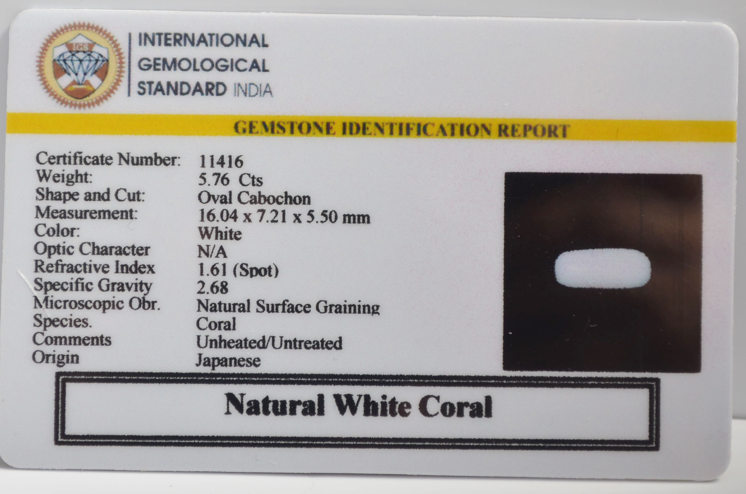 WHITE CORAL 5.76 Ct.