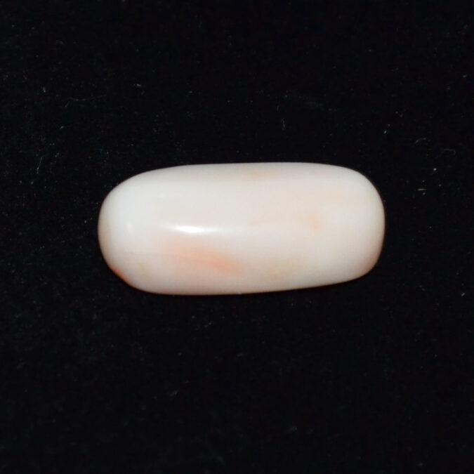 WHITE CORAL 11.68 Ct.
