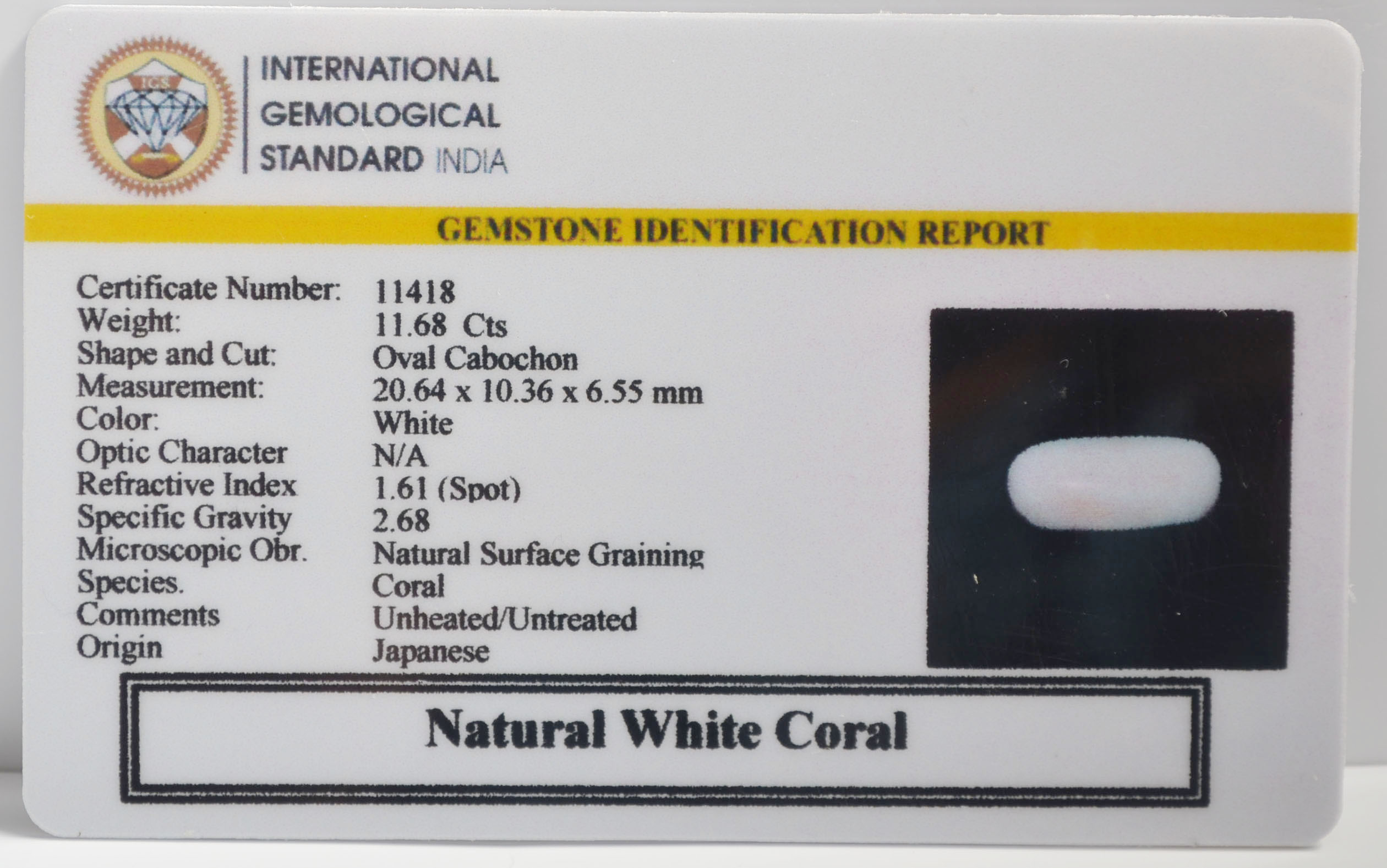 WHITE CORAL 11.68 Ct.