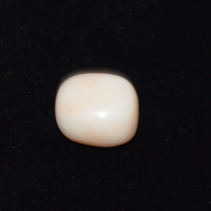 WHITE CORAL 6.58 Ct.