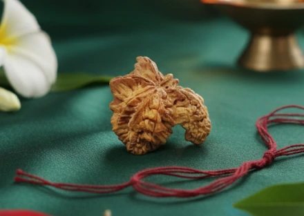 Nag Rudraksha Mala
