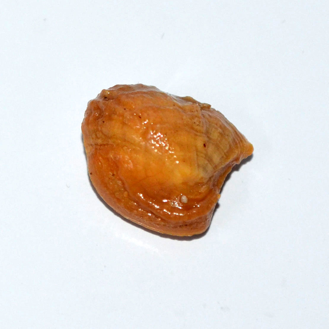 MACHH MANI 19.58 Ct. MACHH MANI 19.58 Ct.