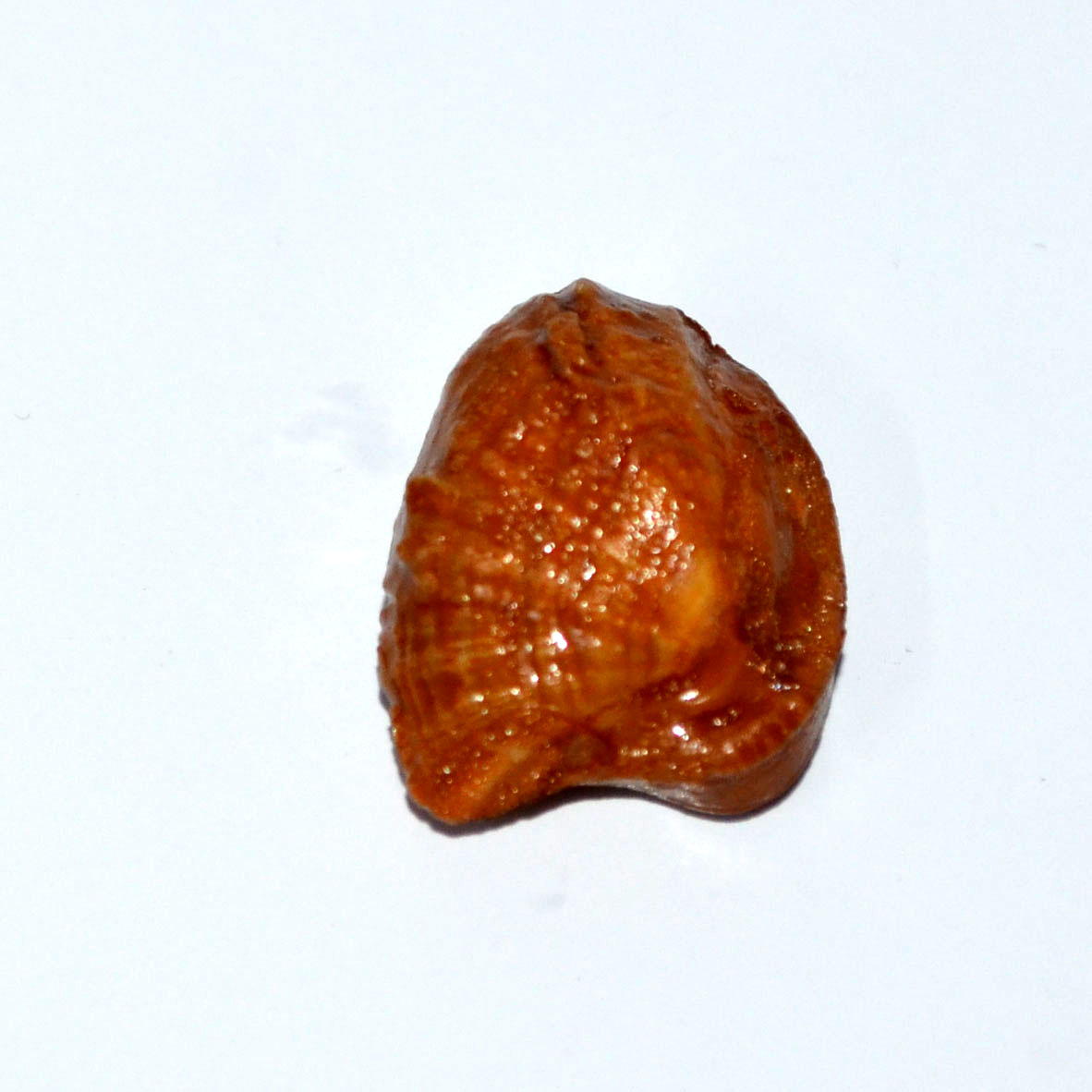 MACHH MANI 19.93 Ct.