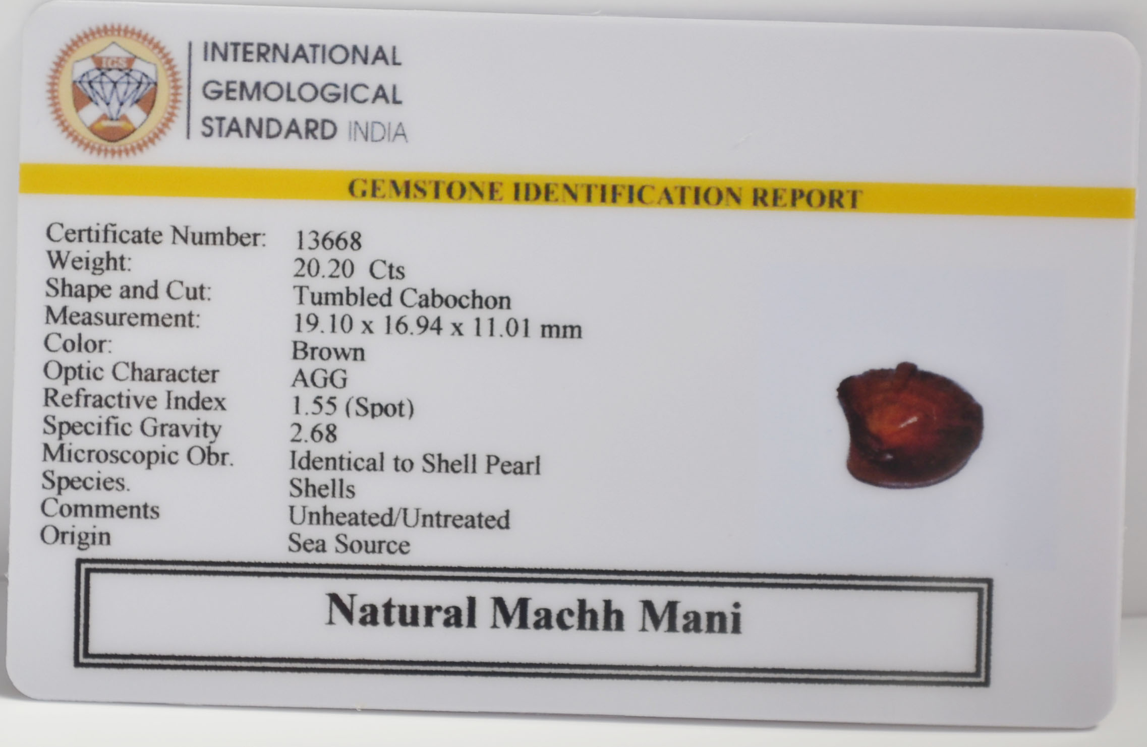 MACHH MANI 20.2 Ct. MACHH MANI 20.2 Ct.