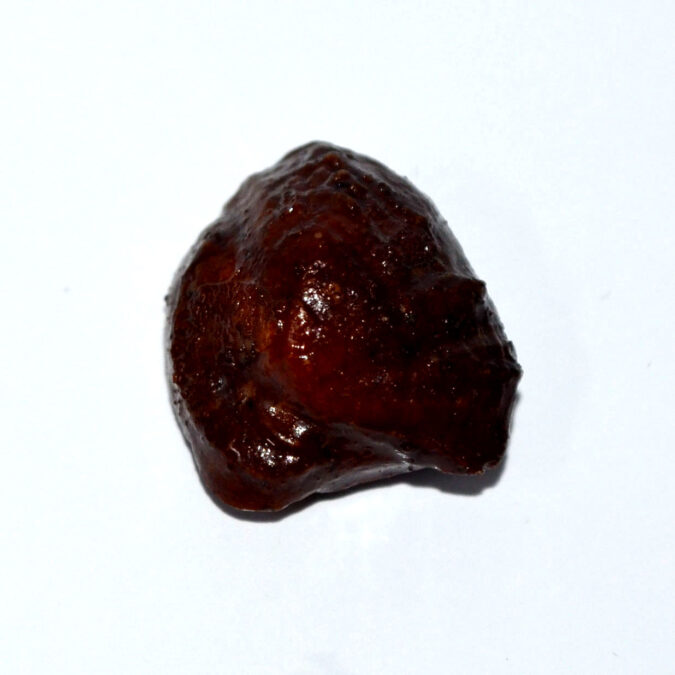 MACHH MANI 21.2 Ct. MACHH MANI 21.2 Ct.