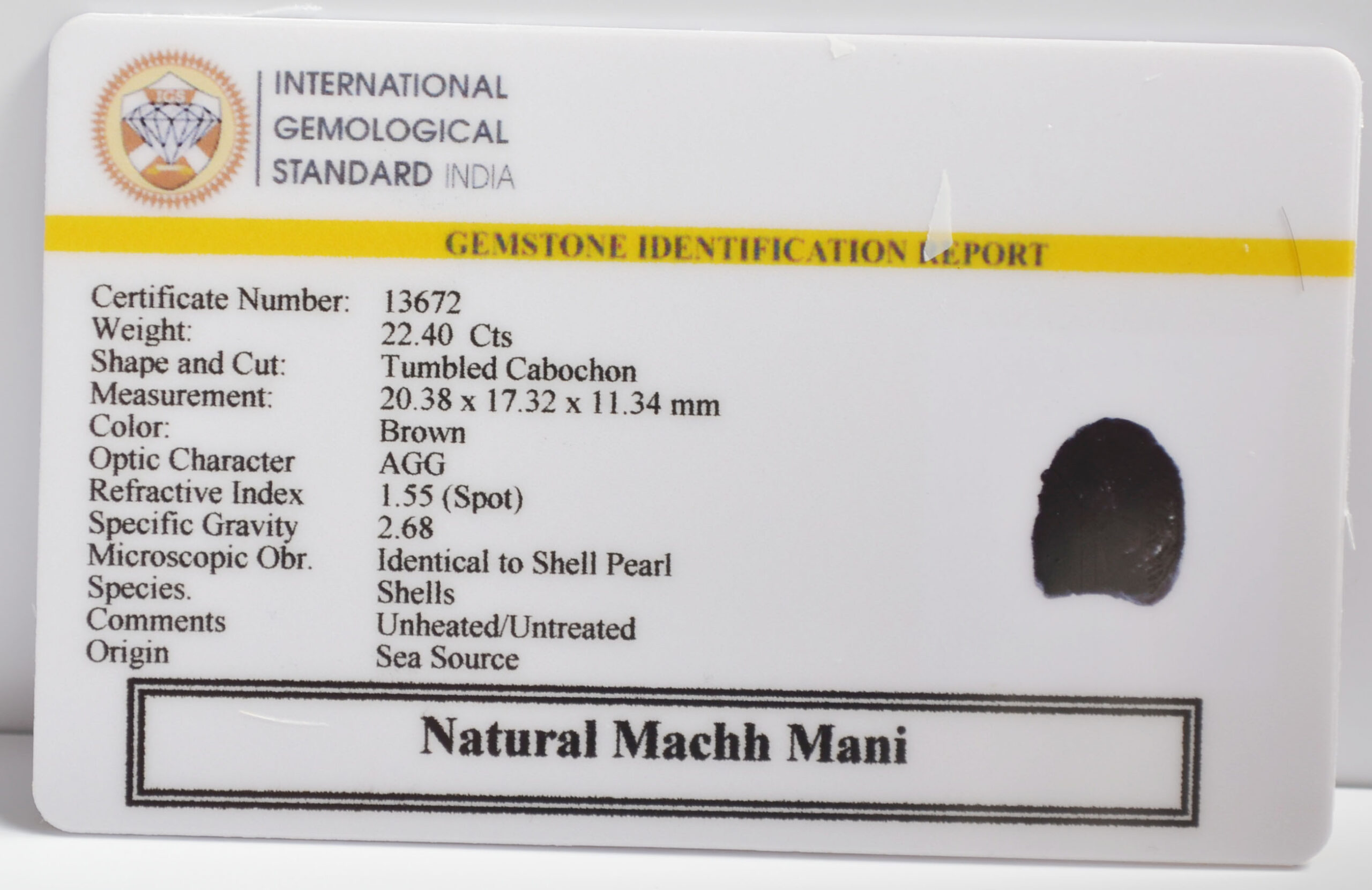 MACHH MANI 22.4 Ct. MACHH MANI 22.4 Ct.