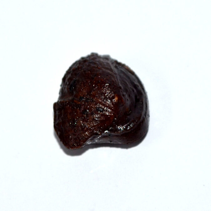 MACHH MANI 14.96 Ct.