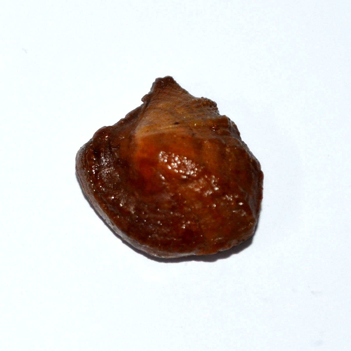 MACHH MANI 20.32 Ct.