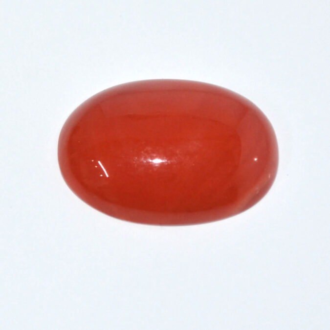 CORAL 16.75 Ct.