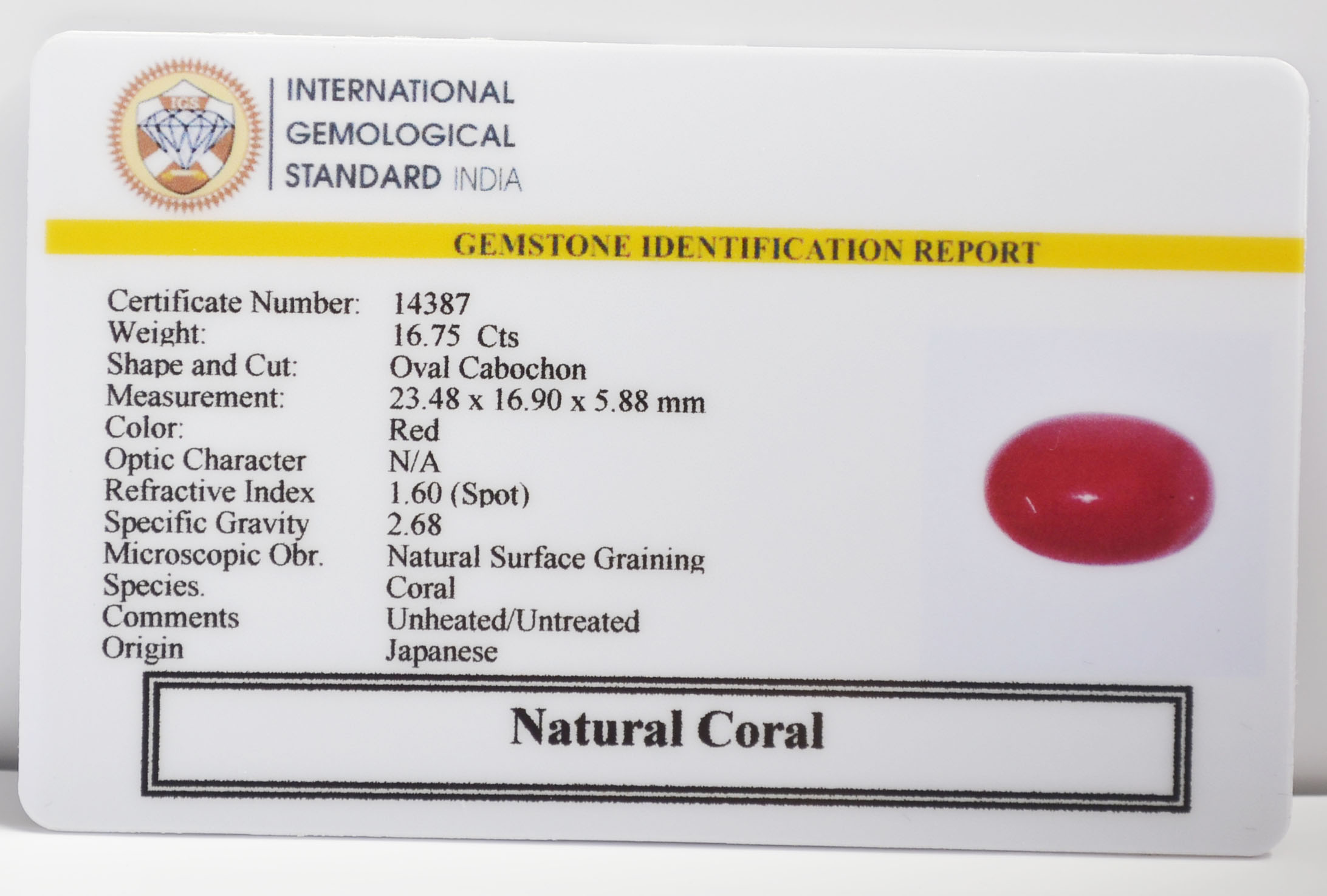 CORAL 16.75 Ct.