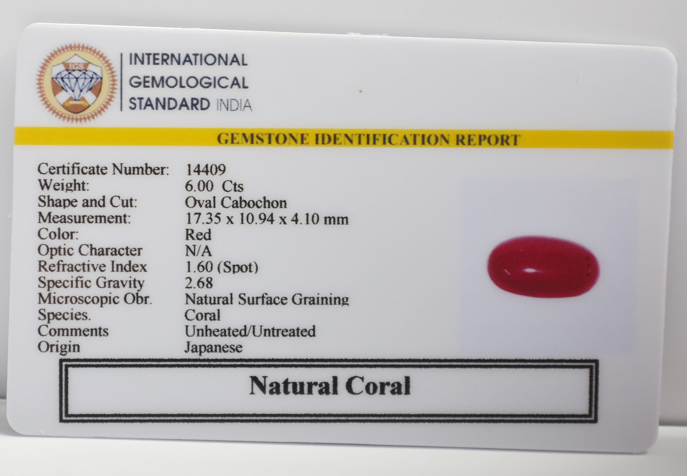 CORAL 6 Ct.