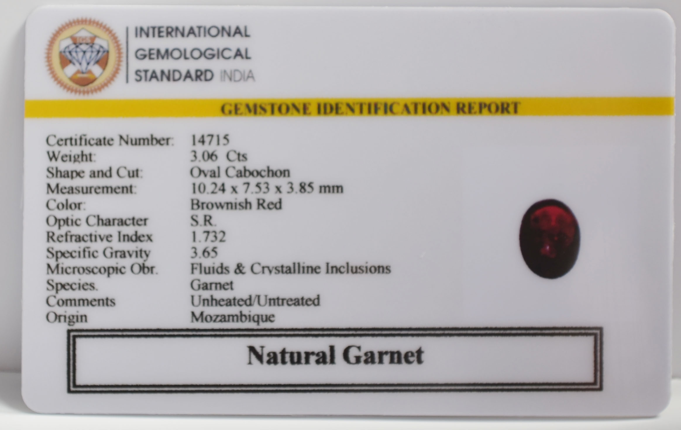 GARNET 3.06 Ct.