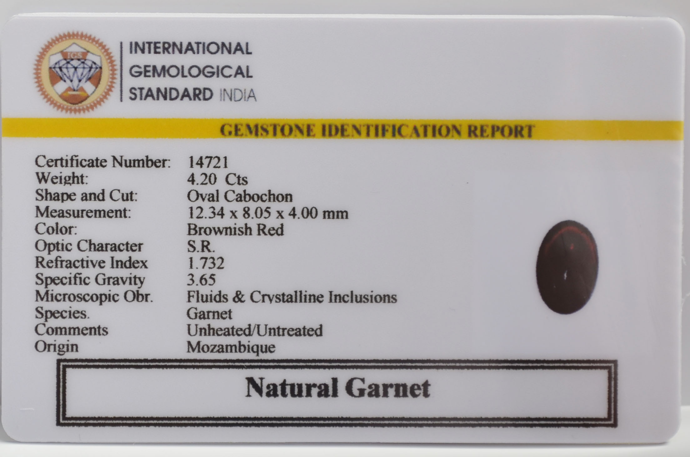 GARNET 4.2 Ct.