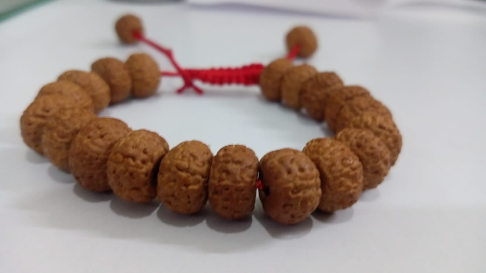 5 mukhi Rudraksha pathri dana bracelet 10mm