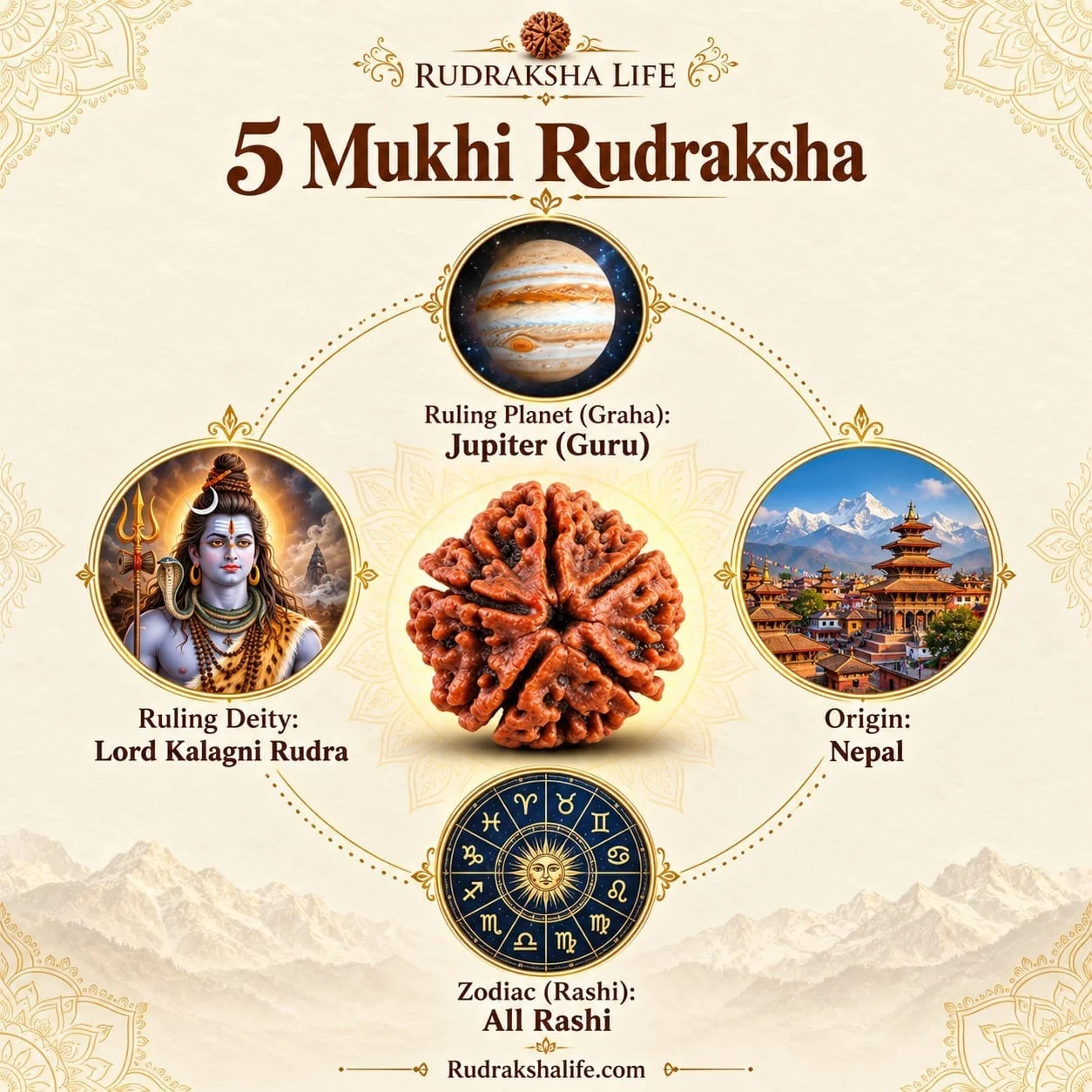 Rudraksha Bracelet